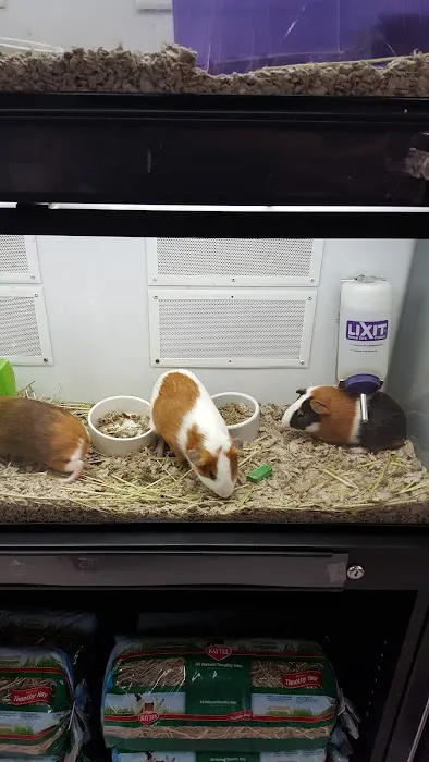 Petco Picture 5