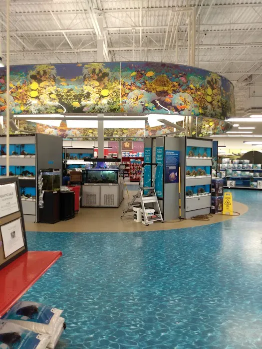 Petco Picture 8
