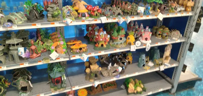 Petco Picture 9