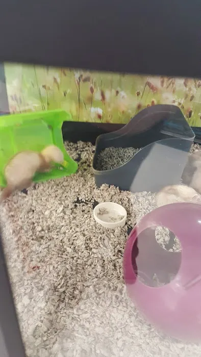 Petco Picture 3