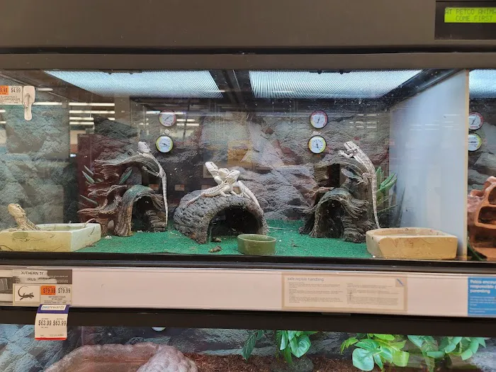 Petco Picture 1