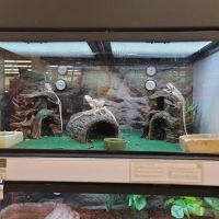 Petco ico