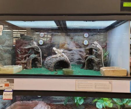 Petco