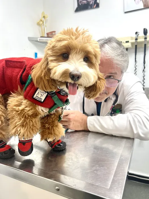 University Animal Hospital Picture 5