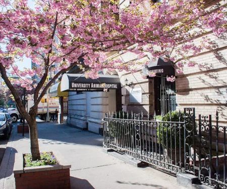 University Animal Hospital