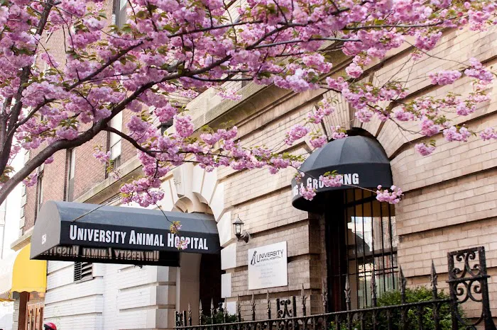 University Animal Hospital Picture 8
