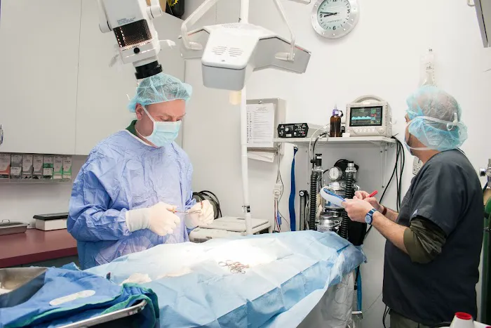 University Animal Hospital Picture 6