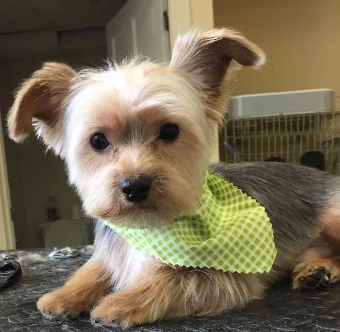 Denise's Pet Center Picture 9