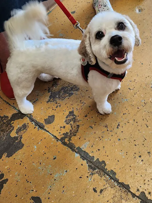 Denise's Pet Center Picture 3