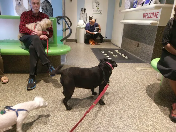 The Humane Society of New York Picture 6