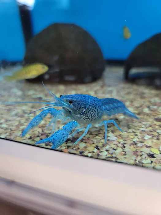 Petco Picture 7