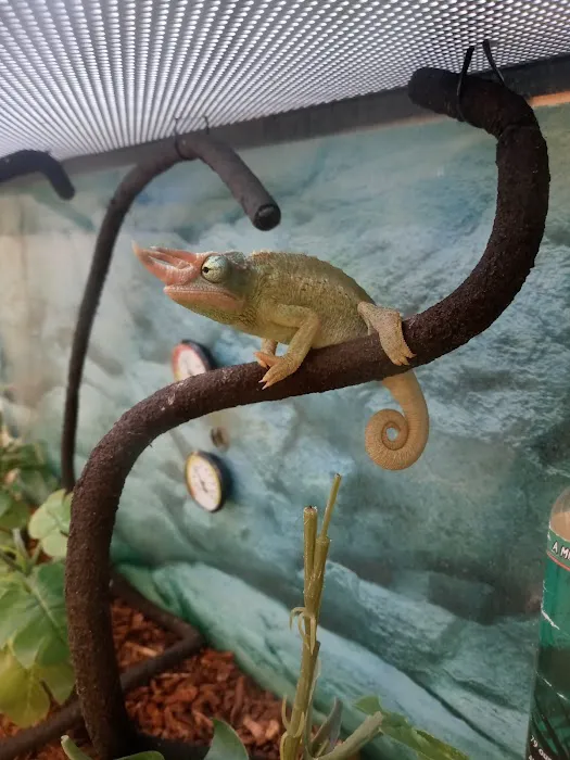 Petco Picture 5