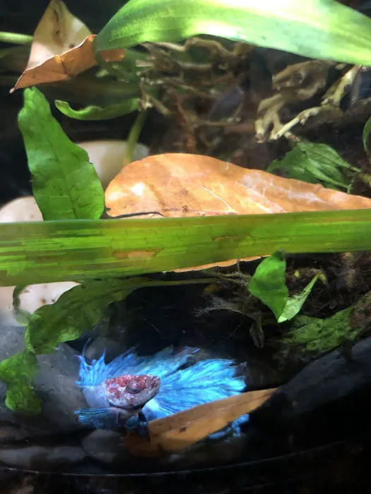 Petco Picture 9