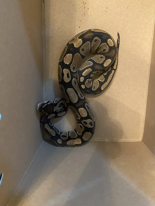 Petco Picture 8
