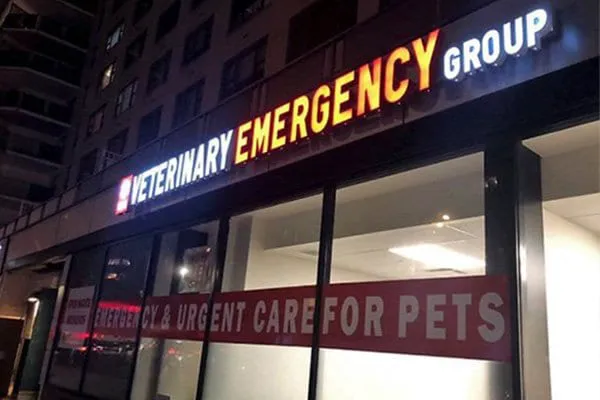 Veterinary Emergency Group Picture 1