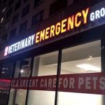 Veterinary Emergency Group