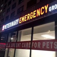 Veterinary Emergency Group ico