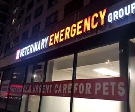 Veterinary Emergency Group