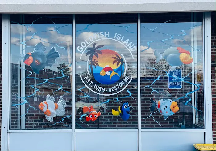 Goldfish Island Picture 10