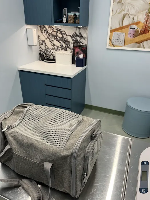 URvet Care Midtown Medical Center Picture 7