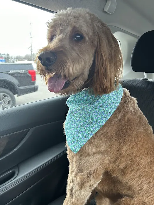 Petco Picture 10
