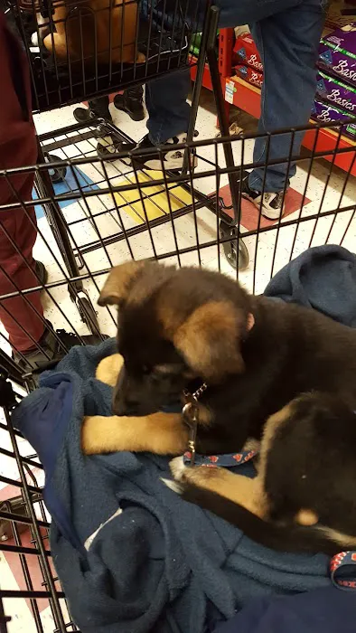 Petco Picture 4