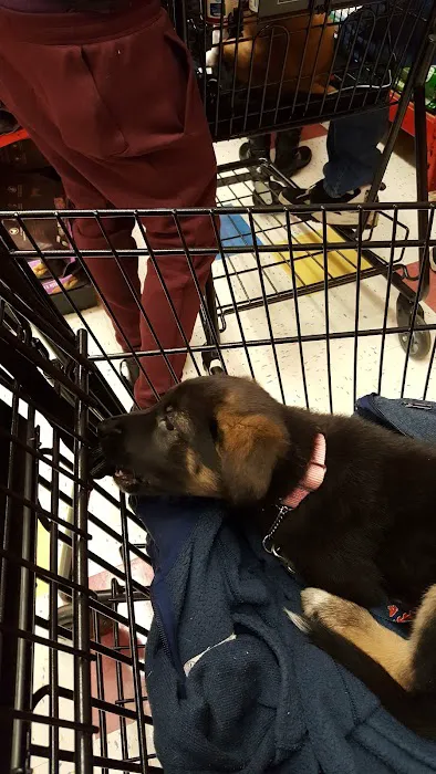 Petco Picture 6