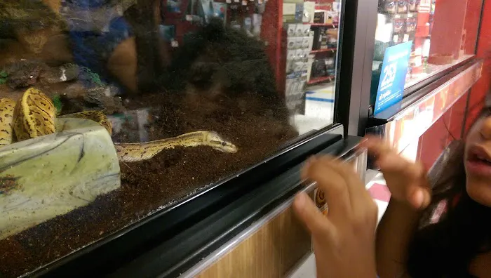 Petco Picture 9