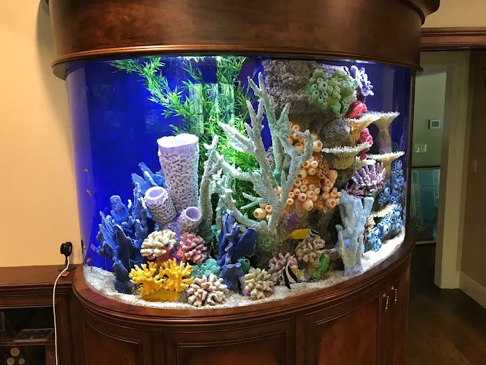 Aqua Vision Tech Picture 7