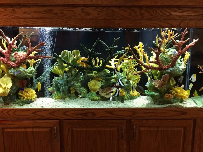 Aqua Vision Tech Picture 2