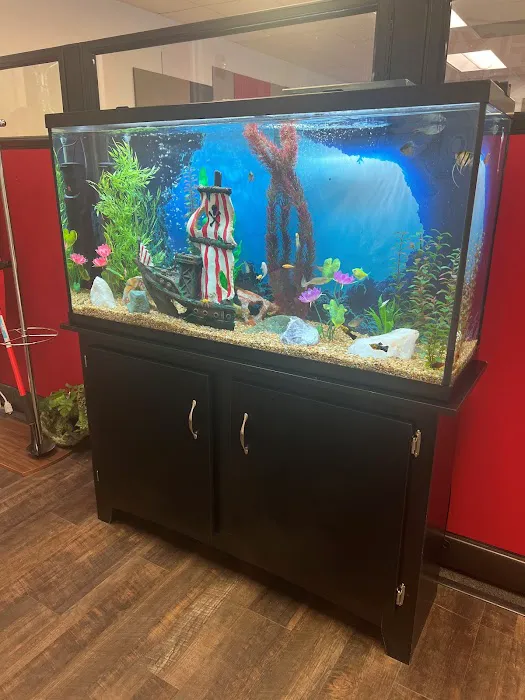 Aqua Vision Tech Picture 3
