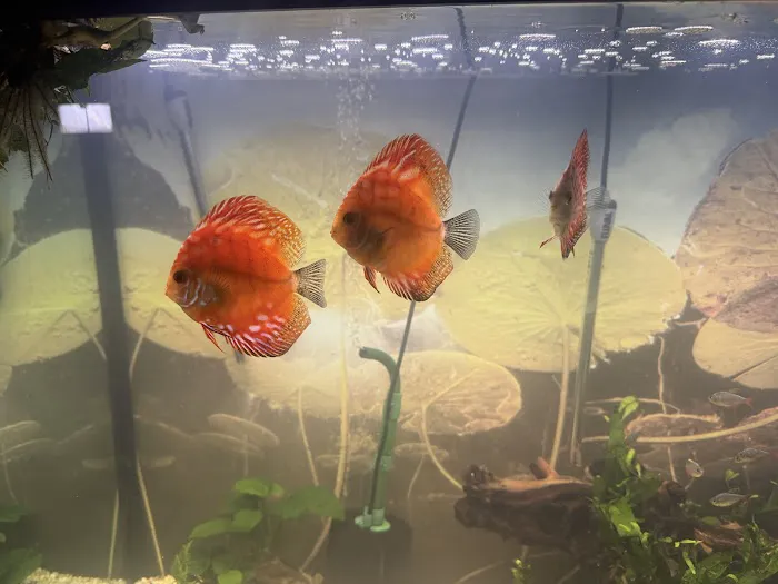Aqua Vision Tech Picture 5