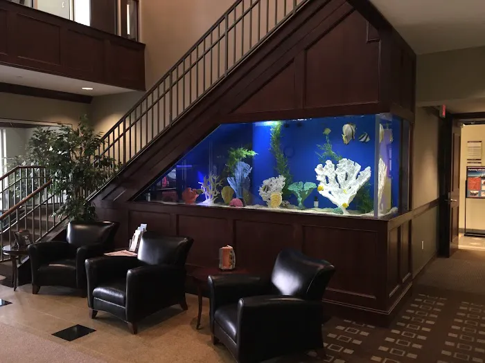 Aqua Vision Tech Picture 10