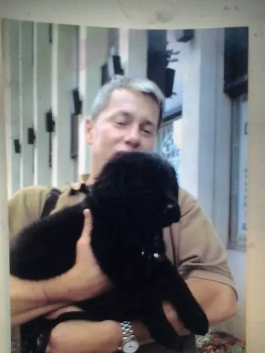 VCA Park East Animal Hospital Picture 1