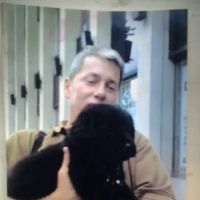 VCA Park East Animal Hospital ico