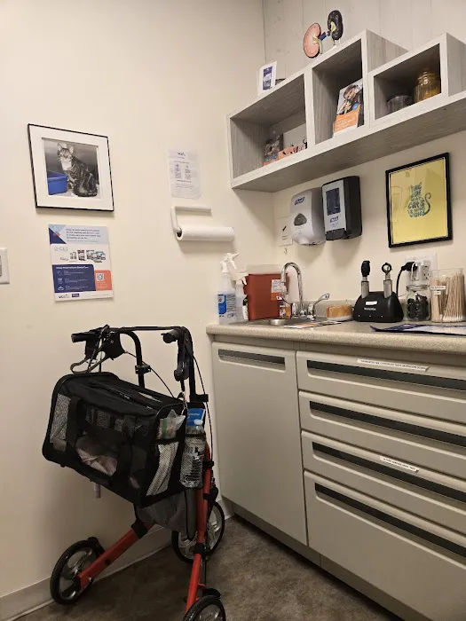 VCA Park East Animal Hospital Picture 5