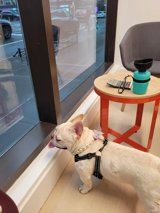 Small Door Veterinary - Upper East Side Picture 3