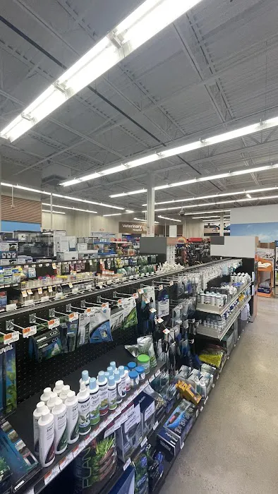 Petco Picture 7