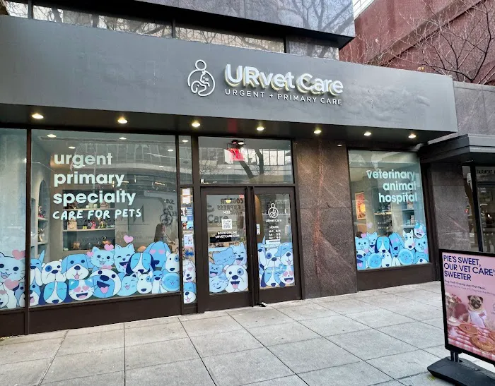 URvet Care Upper East Side (Midtown Medical Center is Open 24/7) Picture 5