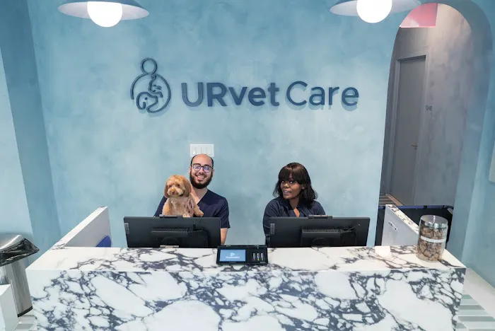 URvet Care Upper East Side (Midtown Medical Center is Open 24/7) Picture 1