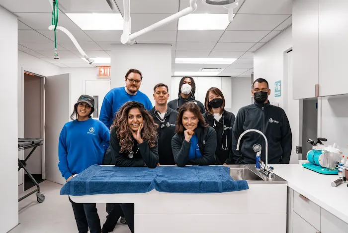 URvet Care Upper East Side (Midtown Medical Center is Open 24/7) Picture 7