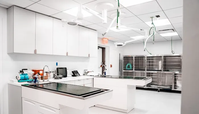 URvet Care Upper East Side (Midtown Medical Center is Open 24/7) Picture 10