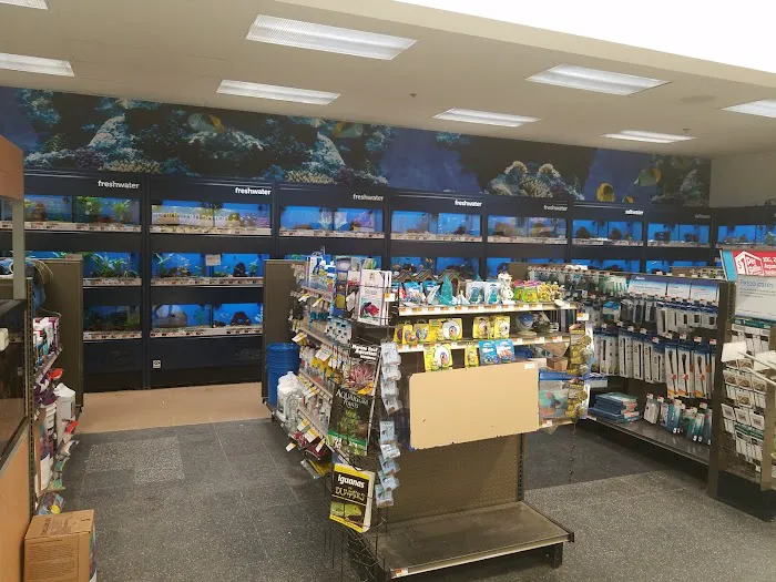 Petco Picture 6