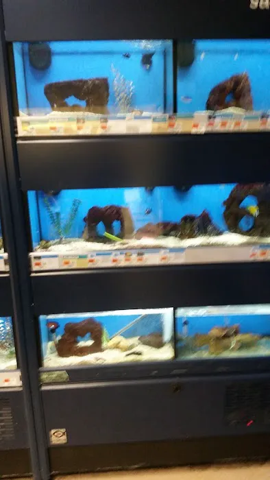 Petco Picture 2
