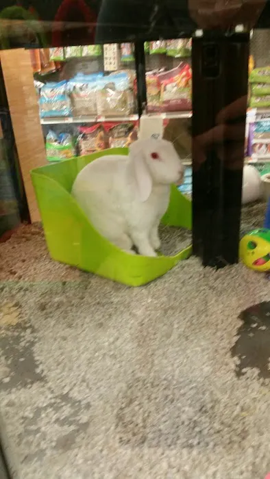 Petco Picture 1