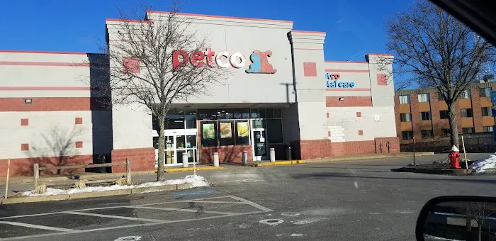 Petco Picture 3