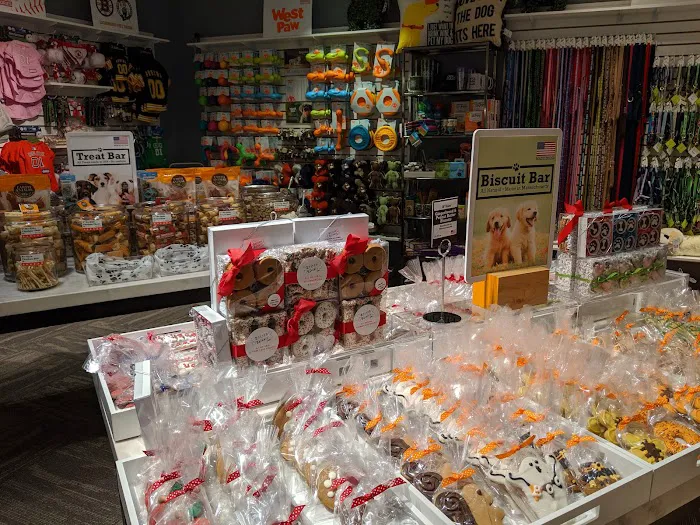 Boston Barkery Picture 5