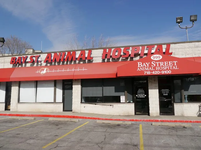 Bay Street Animal Hospital Picture 5