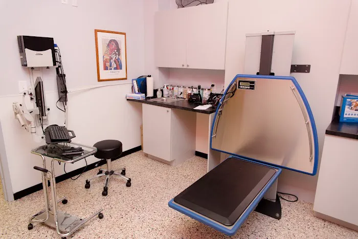 Bay Street Animal Hospital Picture 7