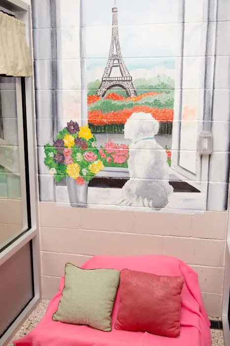 Bay Street Animal Hospital Picture 6
